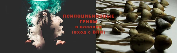 прущая мука Михайловка