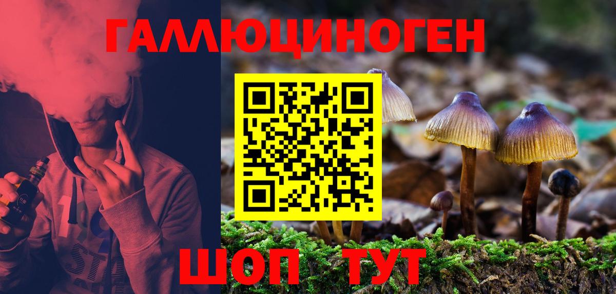 Мурманск  Галлюциногенные грибы прущие грибы  Вход с VPN 