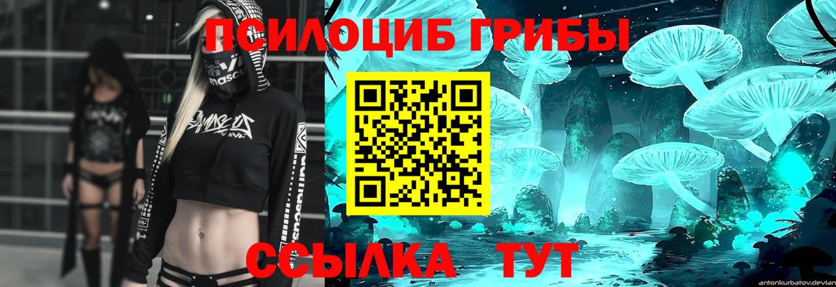 Псилоцибиновые грибы мицелий Мурманск
